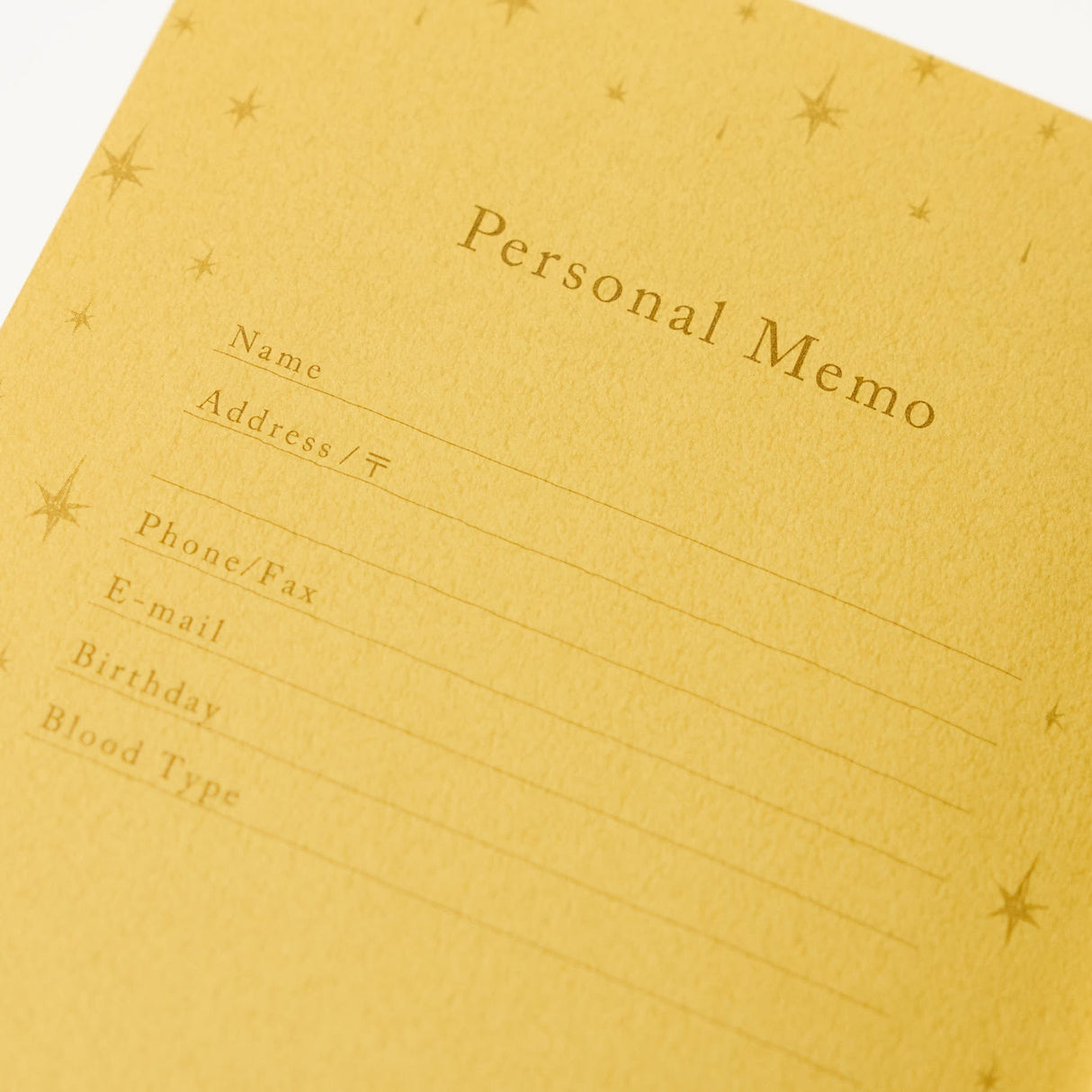 1 Day 1 Page Foil Stamped Clothbound MD Diary / Midori DESIGNPHIL - bungu