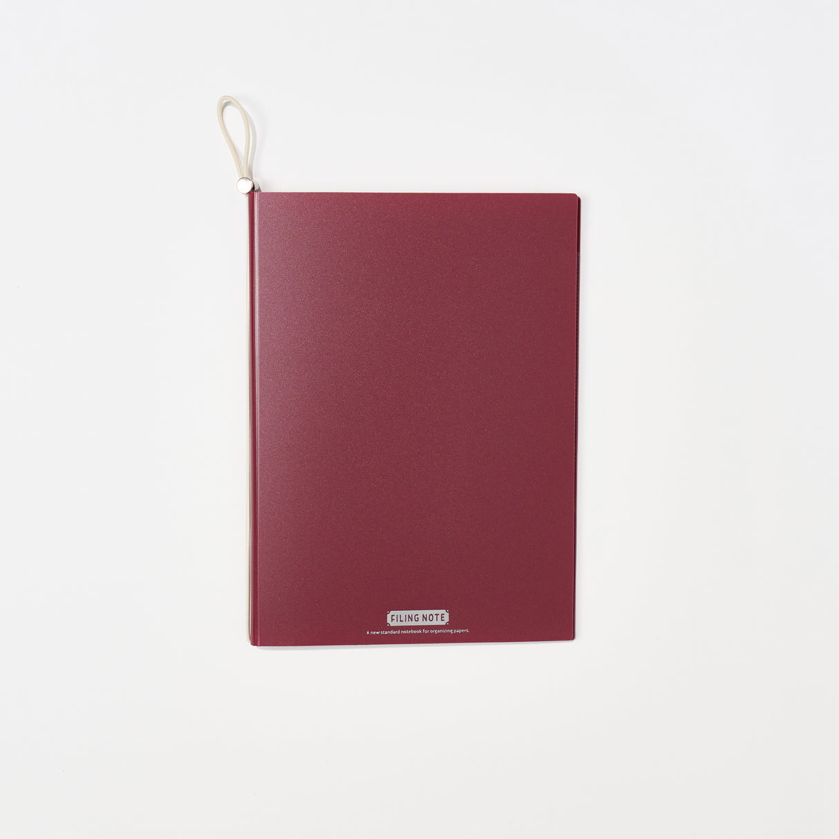 Filing Note / KING JIM