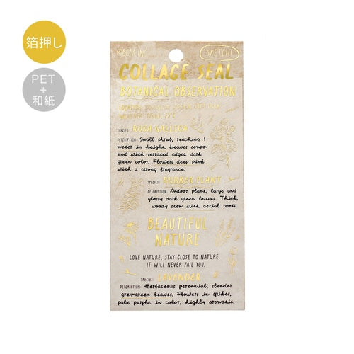 Sheet Sticker Foil Stamped Collage Series / BGM