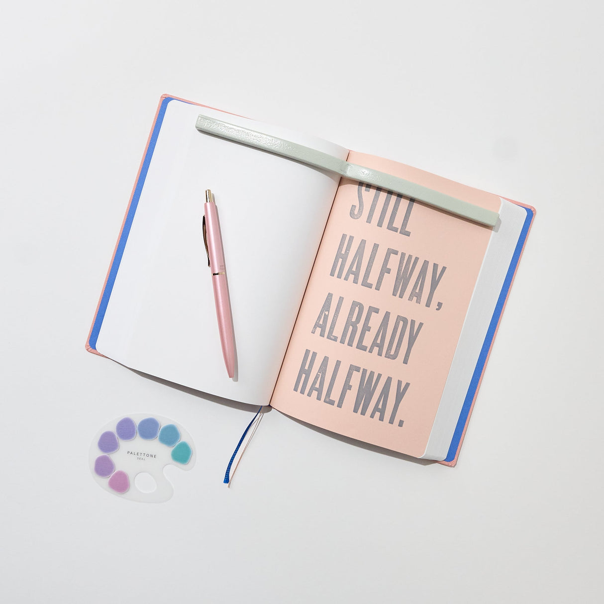 730 Days of Stationery - Rose Pink Bundle / bungu - bungu