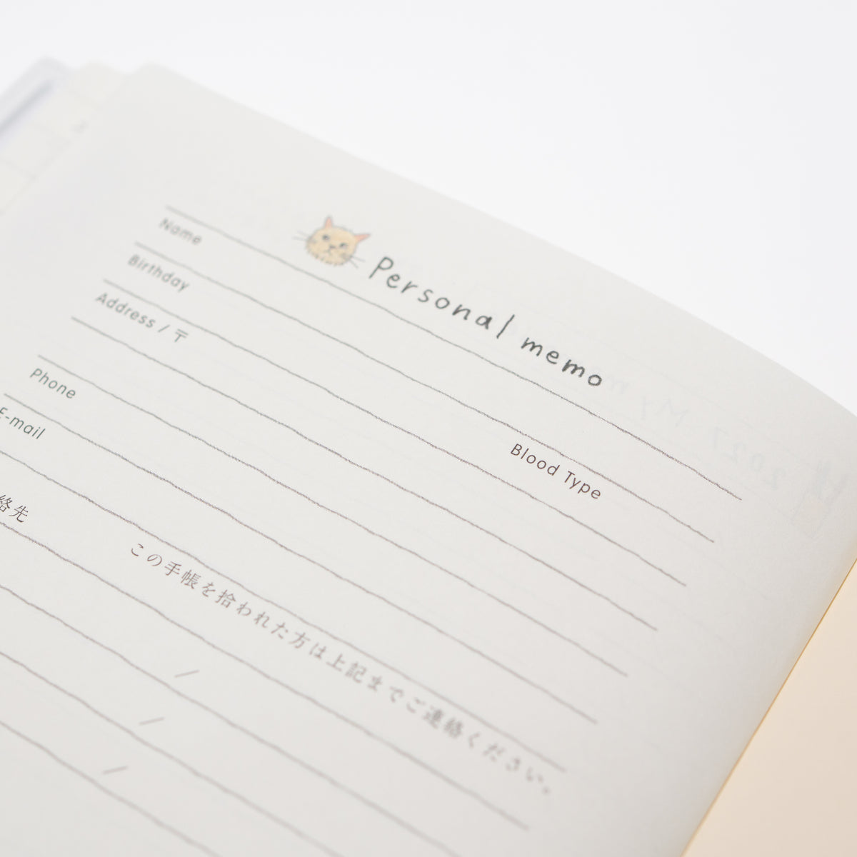 Cat Pocket Diary 2027 / MIDORI
