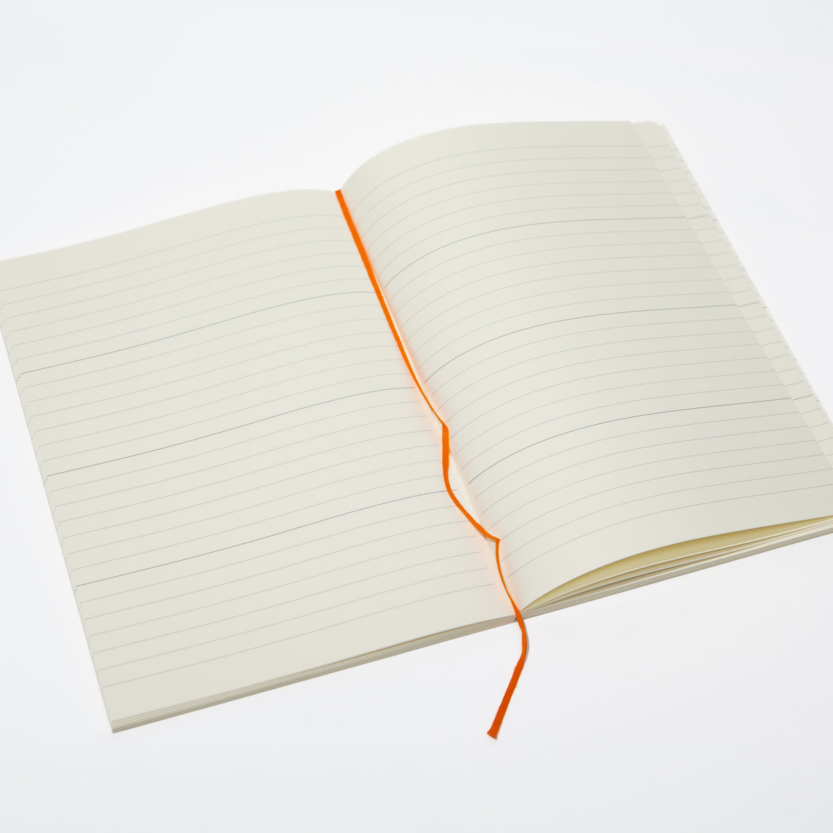 MD Notebook Diary 1 Day 1 Page 2027 / MD PRODUCT