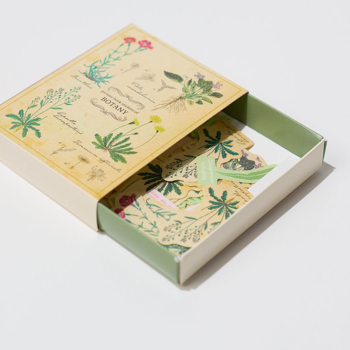 STUDY HOLIC Flake Stickers with Encyclopedia Case / GreenFlash