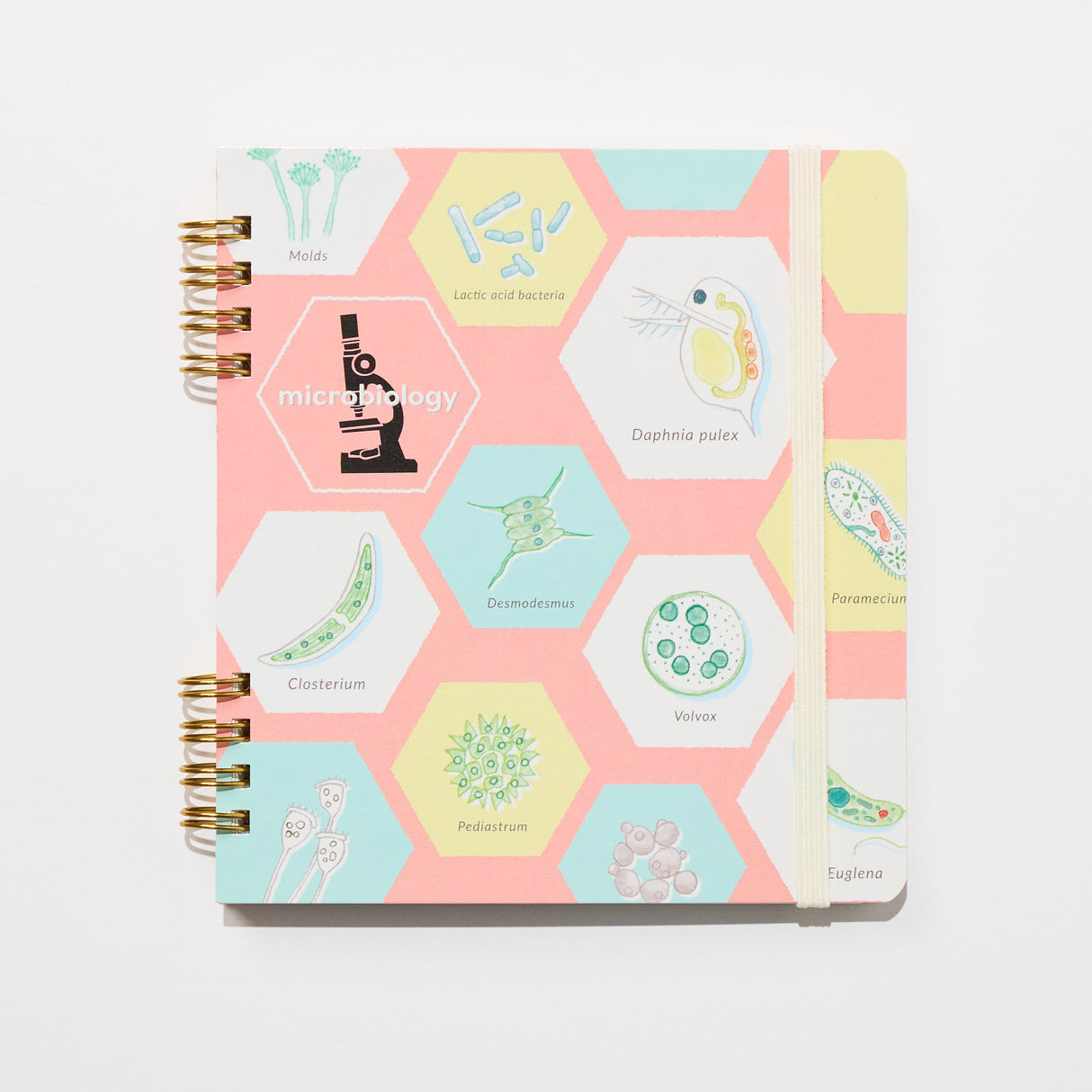 STUDY HOLIC Ring Notebook Square / GreenFlash