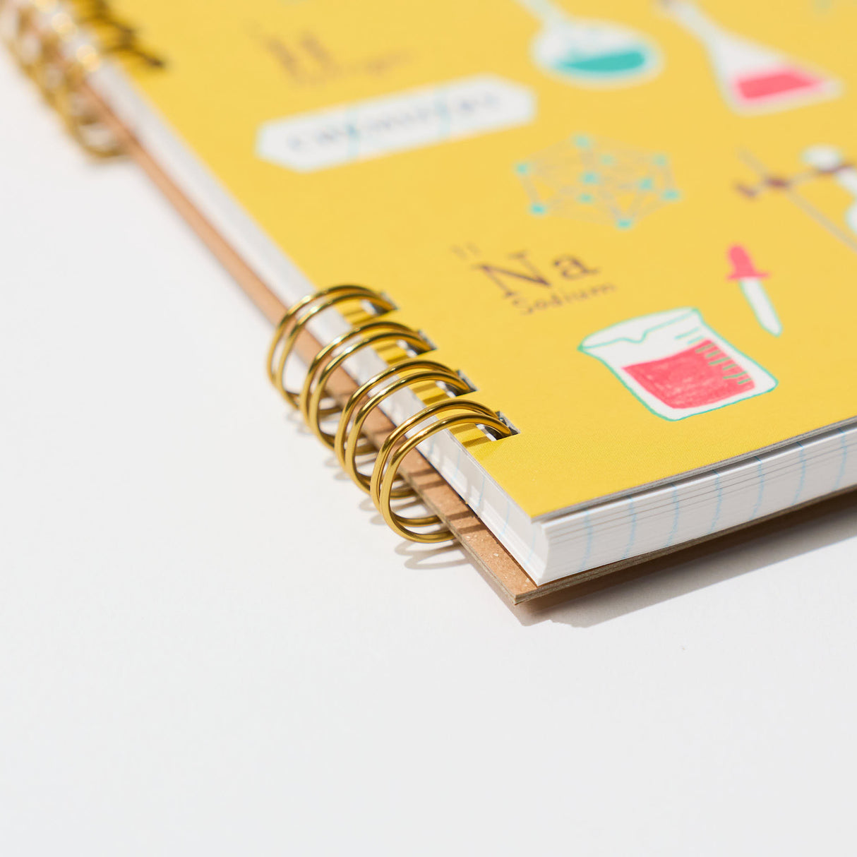 STUDY HOLIC Ring Notebook Square / GreenFlash