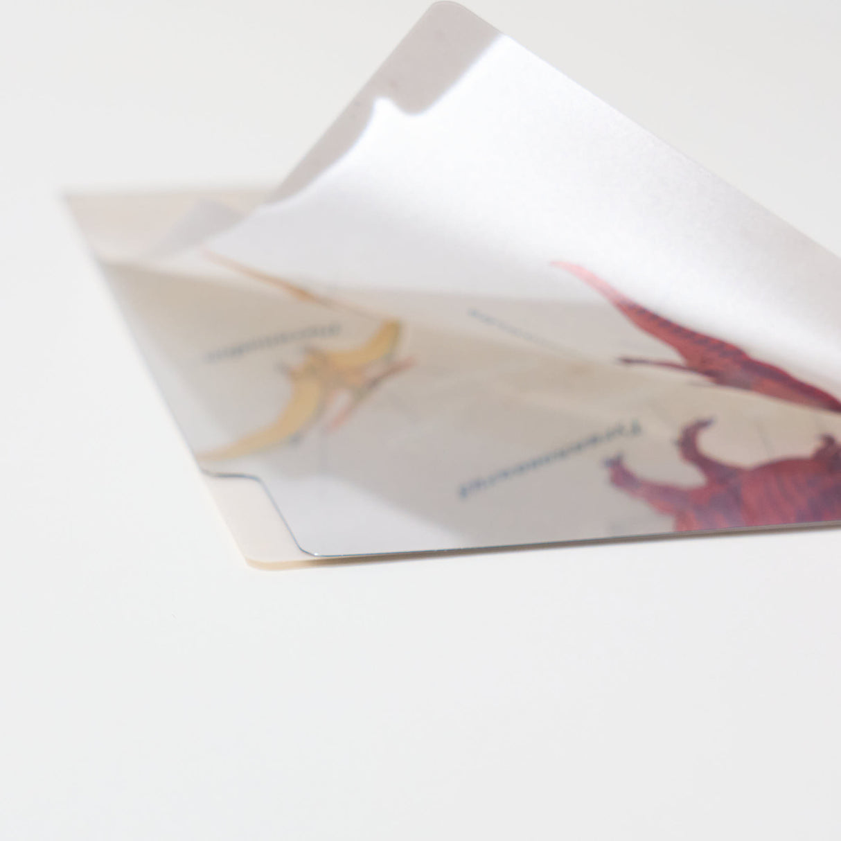 STUDY HOLIC A5 Pocket Clear File Folder / GreenFlash