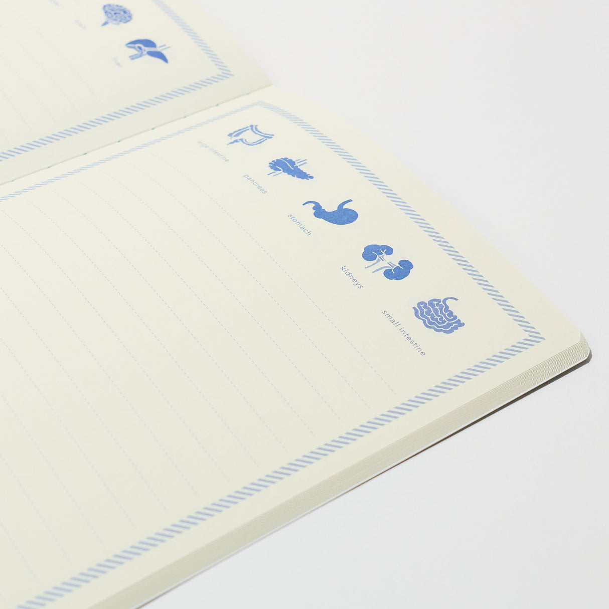 STUDY HOLIC A5 Notebook / GreenFlash