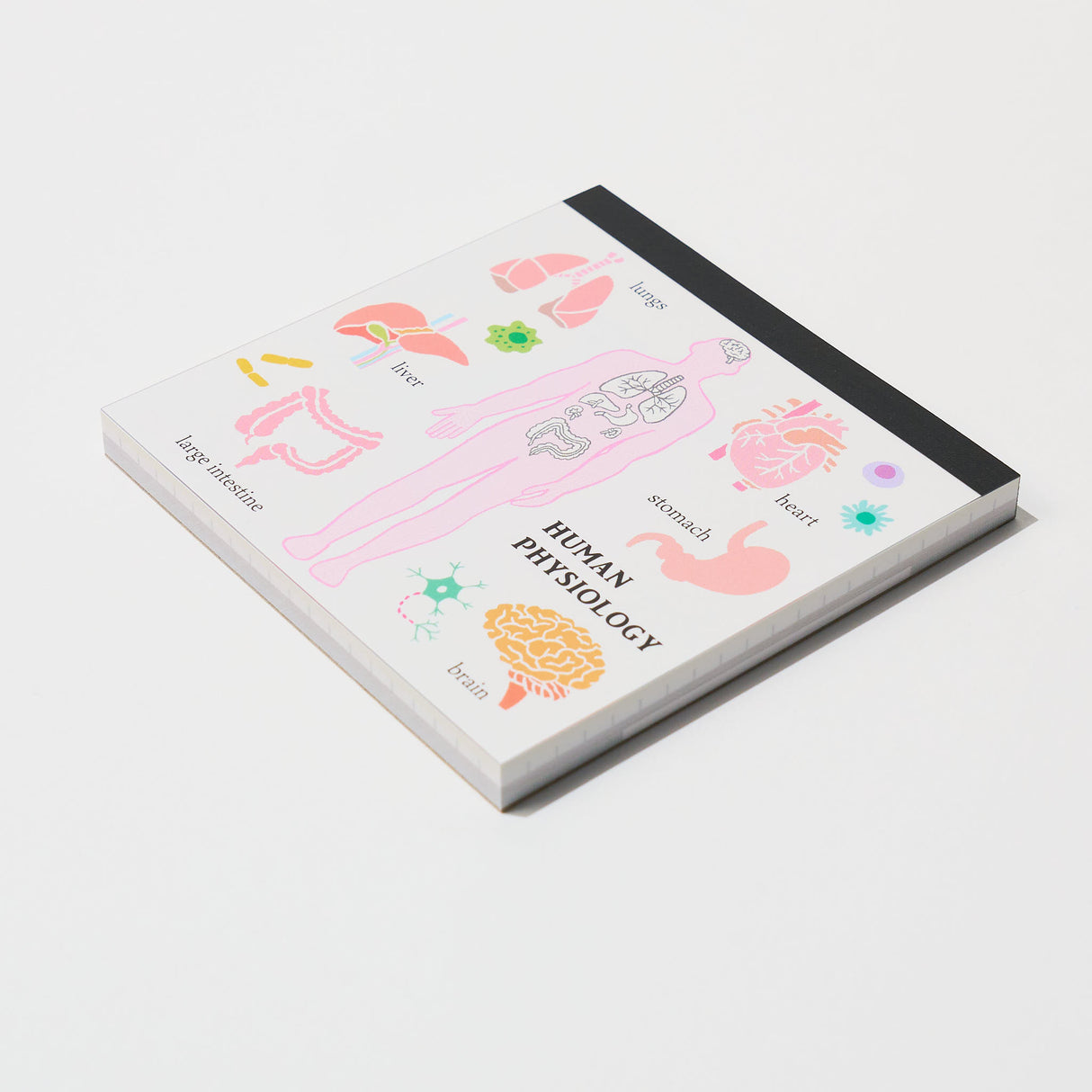 STUDY HOLIC Memo Pad Square / GreenFlash