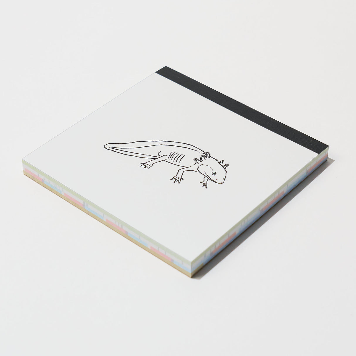 Animal Series Square Memo Pad / GreenFlash