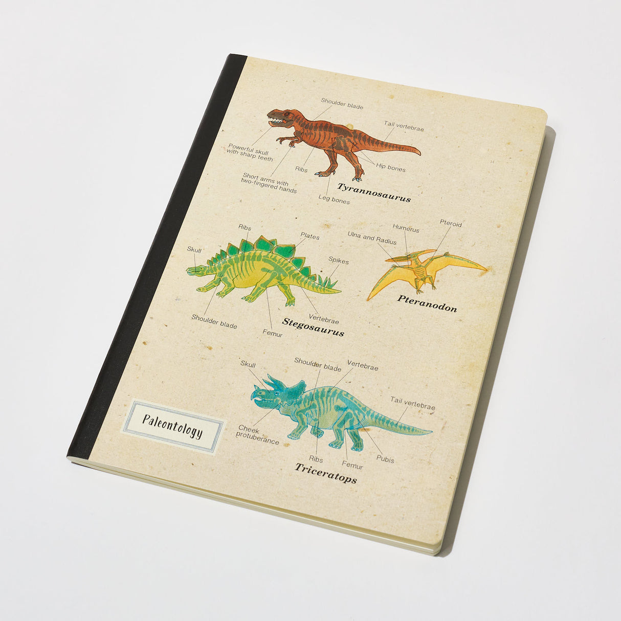 STUDY HOLIC A5 Notebook / GreenFlash