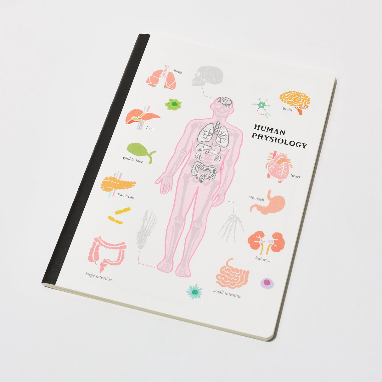 STUDY HOLIC A5 Notebook / GreenFlash