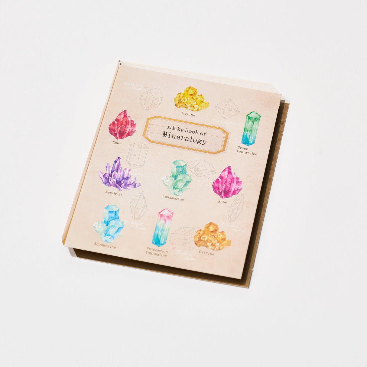 STUDY HOLIC Sticky Note Book / GreenFlash