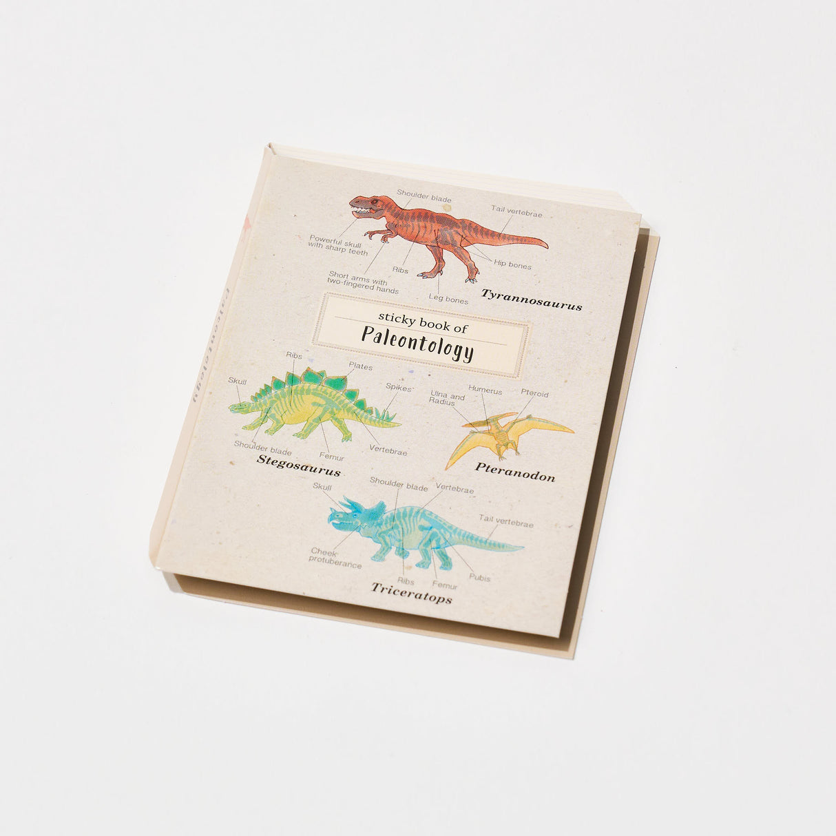 Paleontology STUDY HOLIC Bundle / GreenFlash