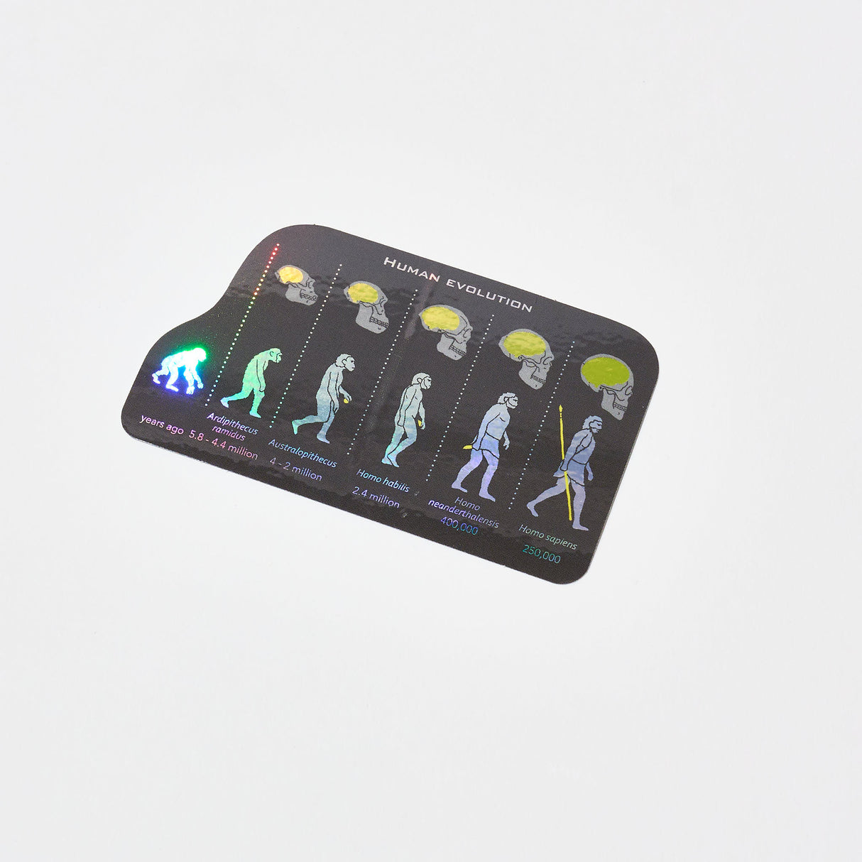 STUDY HOLIC Aurora Sticker / GreenFlash