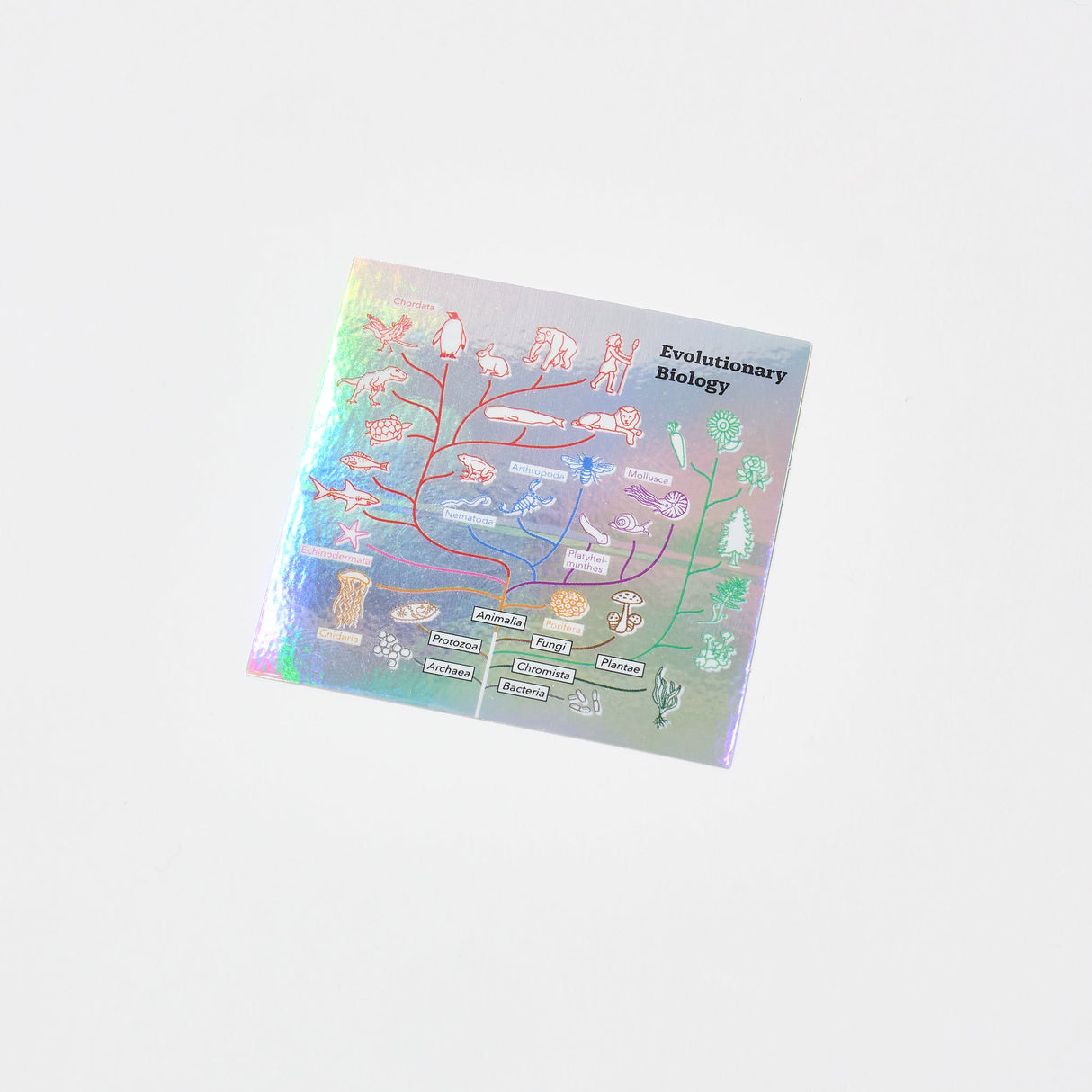 STUDY HOLIC Aurora Sticker / GreenFlash