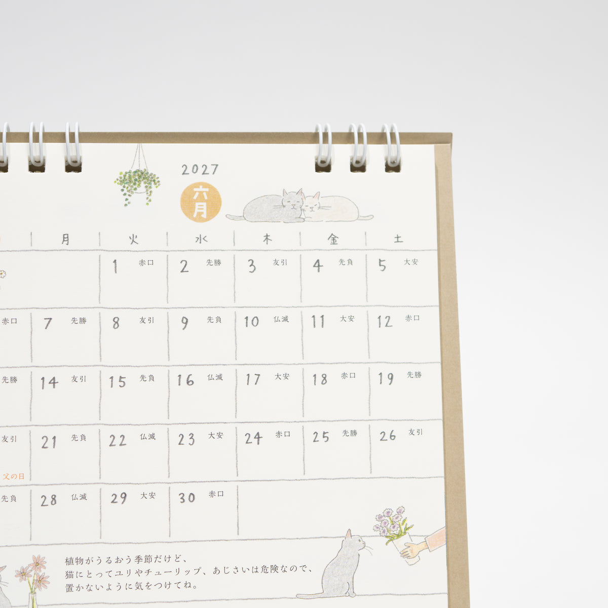 Cat Ring Desk Calendar 2027 / MIDORI