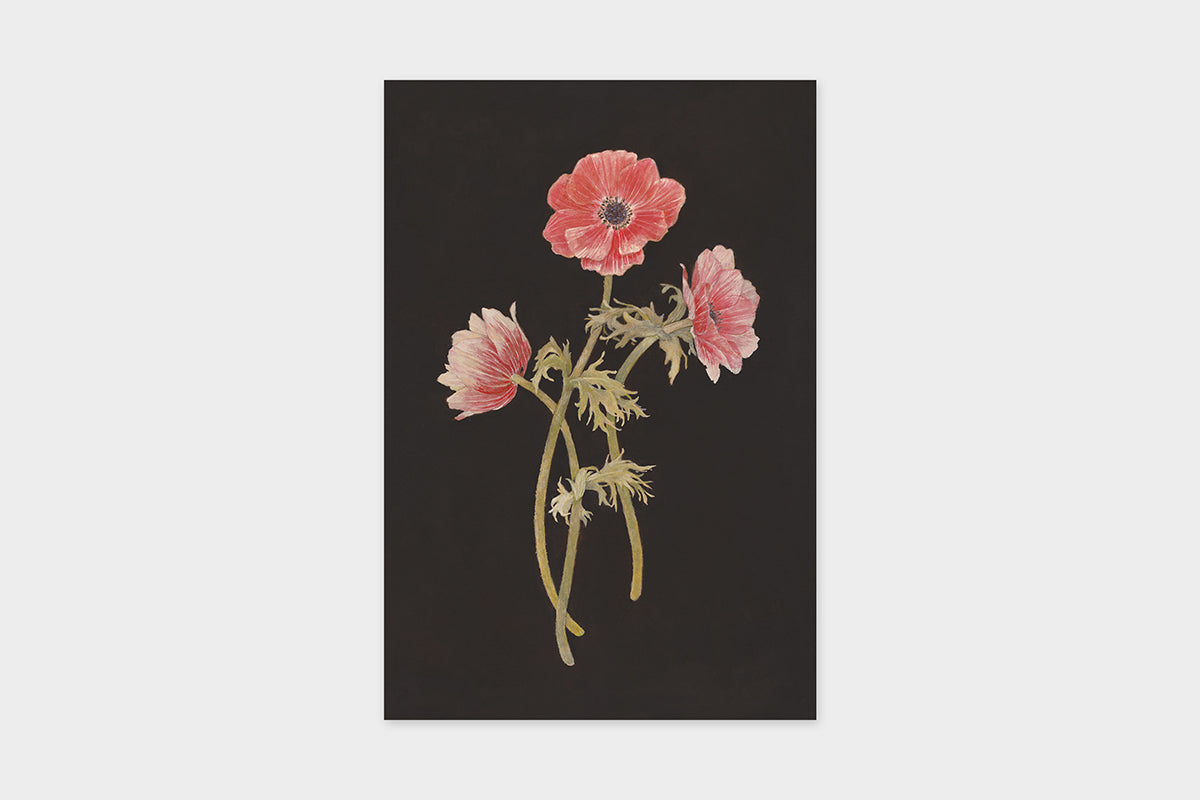 Art Touch Sasaki Megumi Floral Postcards / TOUCH & FLOW