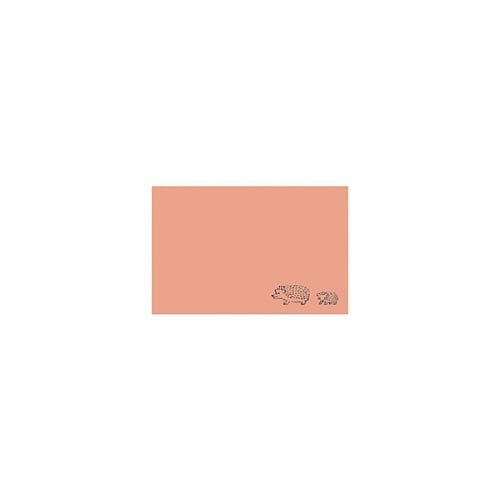 Animal Parade Mini Card Set / RYU - RYU - bungu