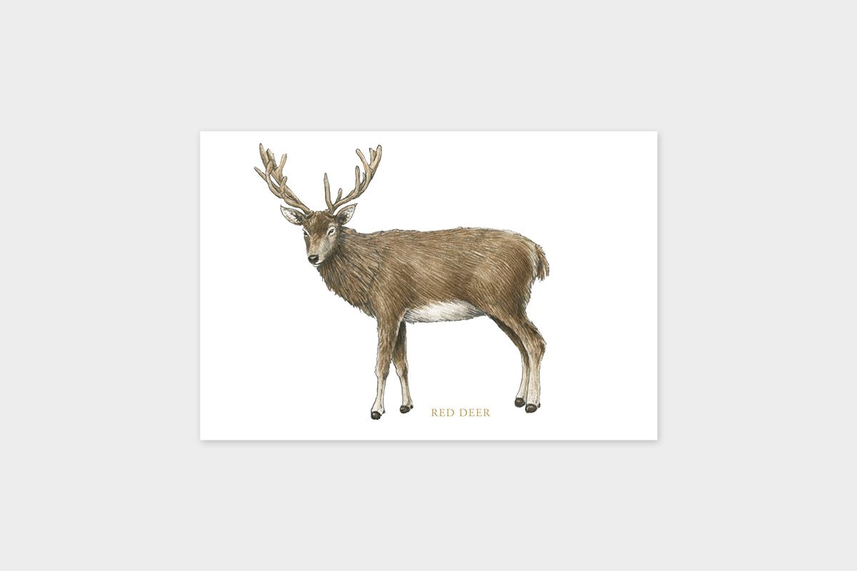 Art Touch Miltata Postcards/ TOUCH & FLOW - bungu