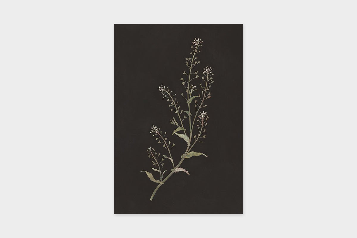 Art Touch Sasaki Megumi Floral Postcards / TOUCH & FLOW - bungu