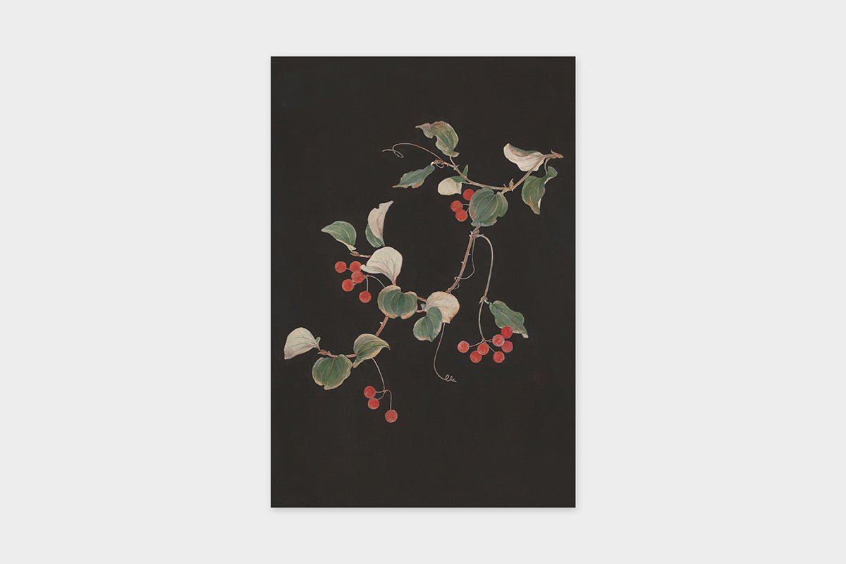 Art Touch Sasaki Megumi Floral Postcards / TOUCH & FLOW - bungu