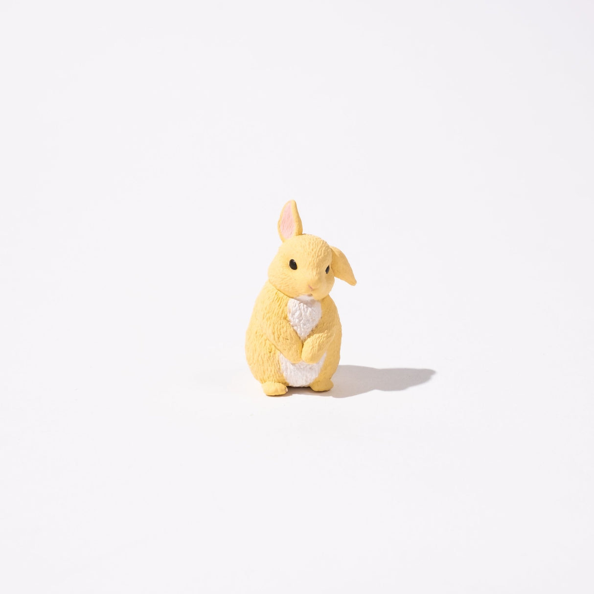 Blank Stare Animal Collection Gacha Capsule - bungu