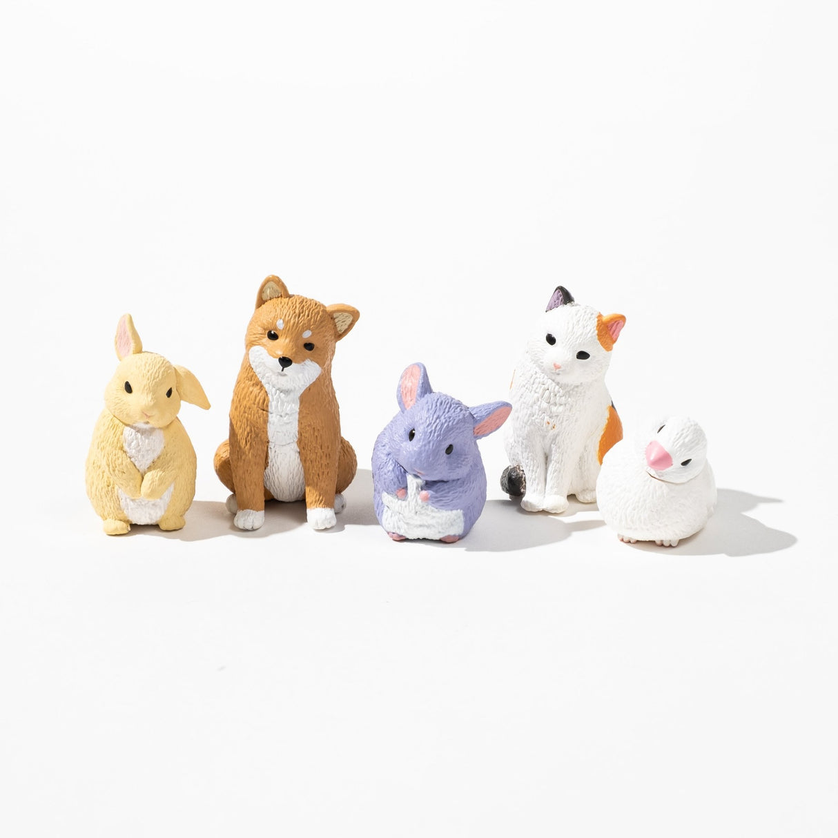 Blank Stare Animal Collection Gacha Capsule - bungu