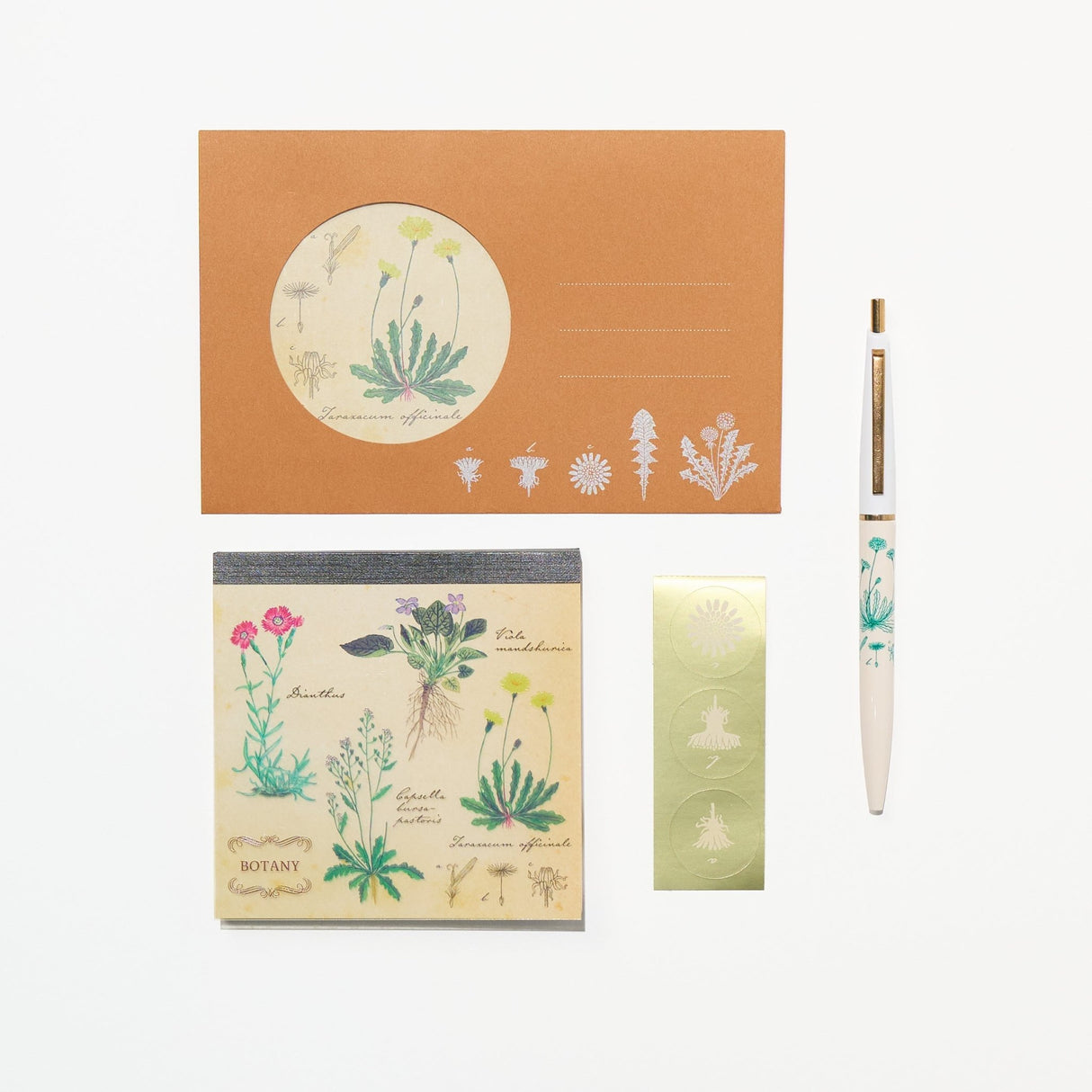 Botany STUDY HOLIC Bundle / GreenFlash - bungu