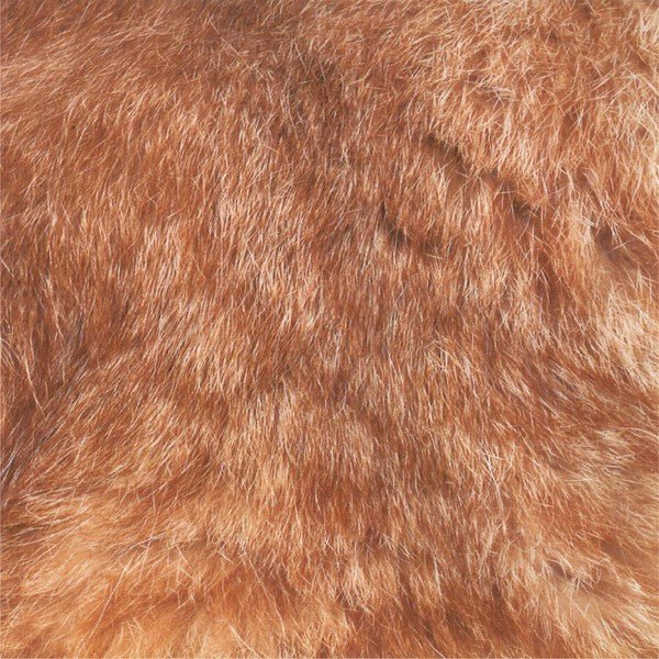 Cat Origami Set / Marumo Printing Stationery - bungu