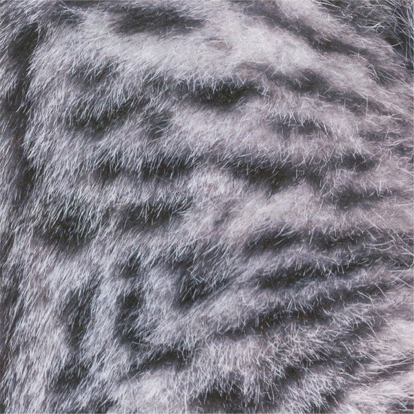 Cat Origami Set / Marumo Printing Stationery - bungu