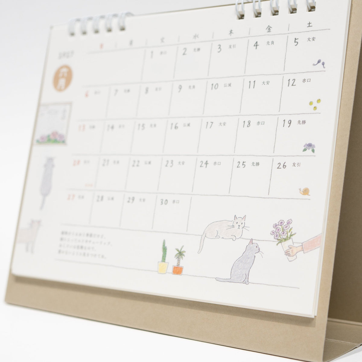Cat Ring Desk Calendar 2027 / MIDORI - bungu