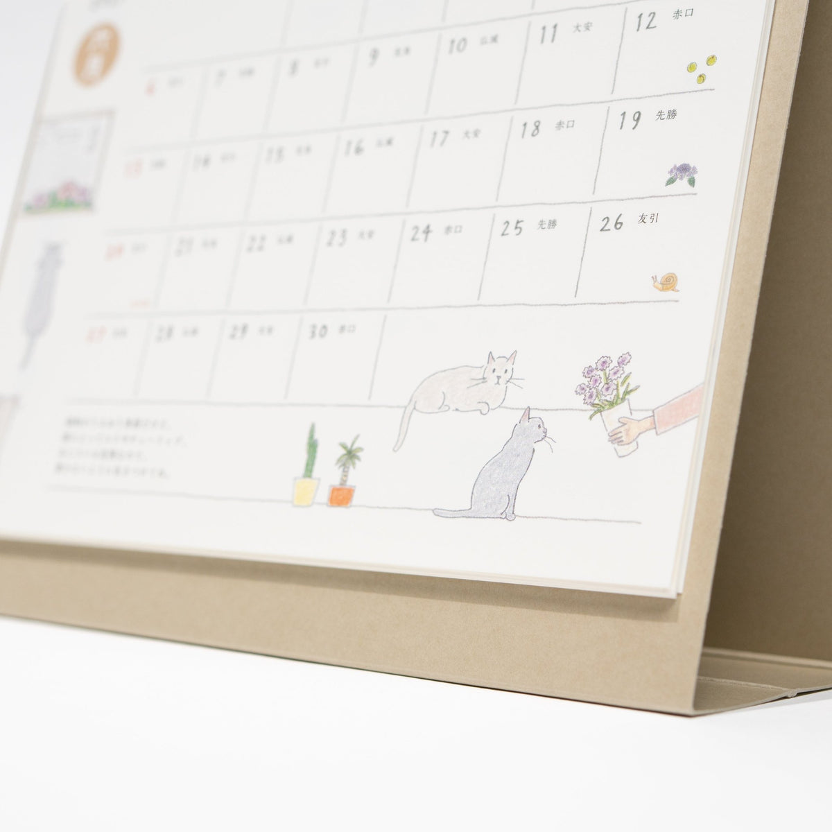 Cat Ring Desk Calendar 2027 / MIDORI - bungu