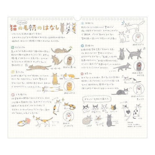Cat Wall Calendar 2027 / MIDORI - bungu