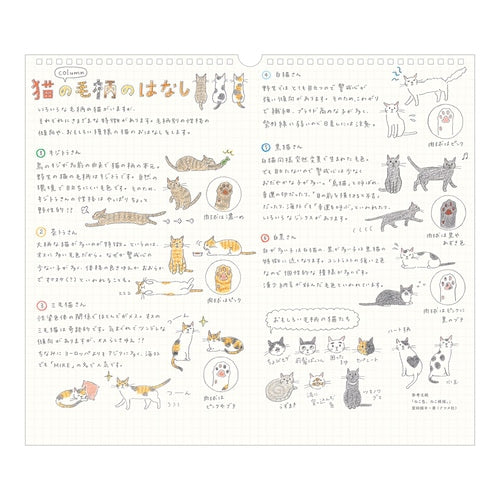 Cat Wall Calendar 2027 / MIDORI