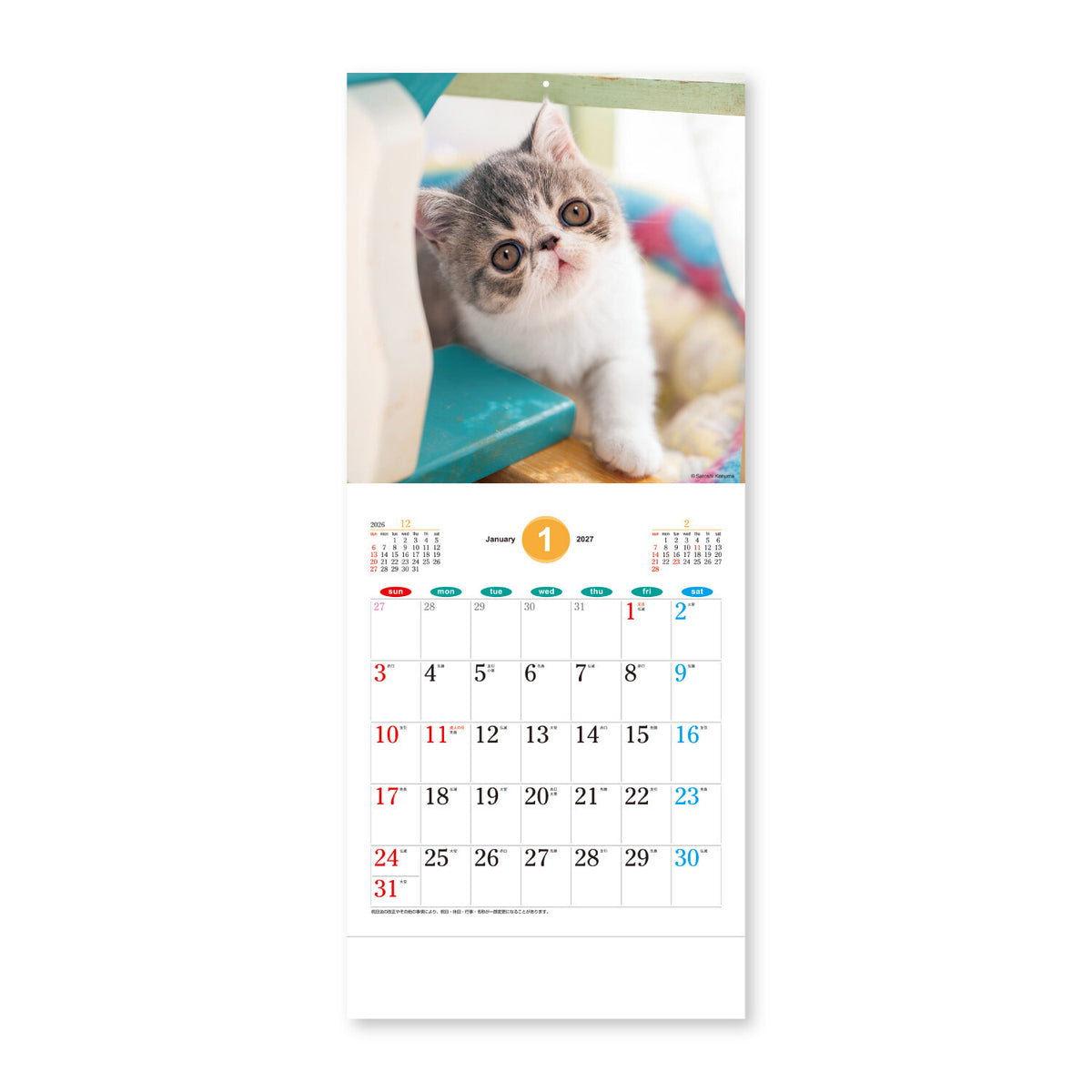 The Dog’s and Cat’s Wall Calendar 2027 / Shin Nihon Calendar