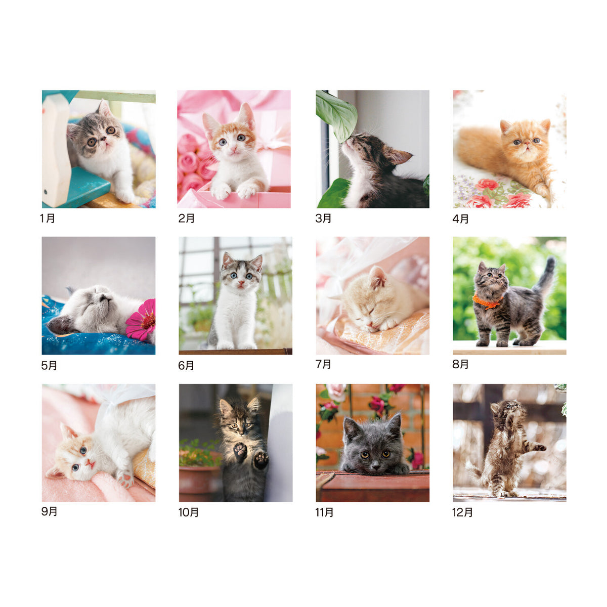 The Dog’s and Cat’s Wall Calendar 2027 / Shin Nihon Calendar