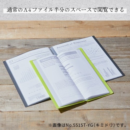 Clear File HOSSO 15 Pockets / KING JIM - bungu