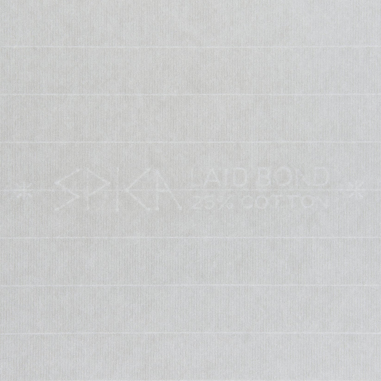 Dressco Alezan Stitch Notebook Bookcase Set / TAKEO PAPER PRODUCTS - bungu