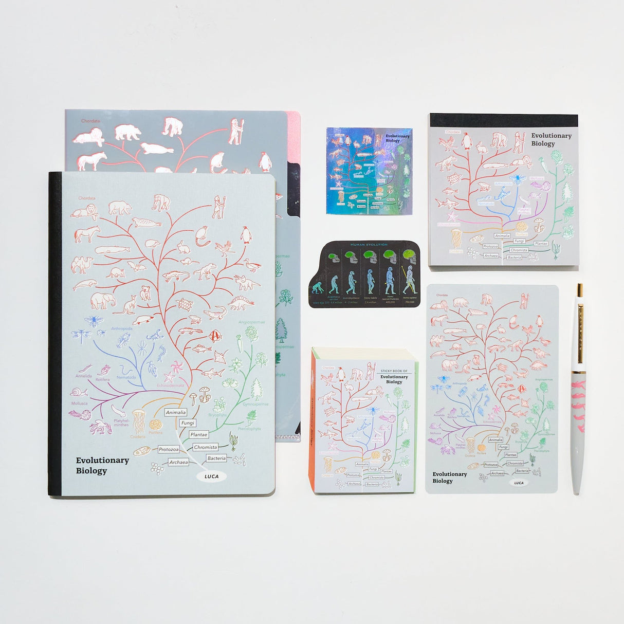 Evolutionary Biology STUDY HOLIC Bundle / GreenFlash - bungu