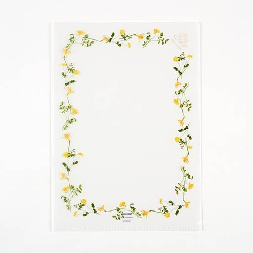 Fleur de Papier Clear File / DAIGO - bungu