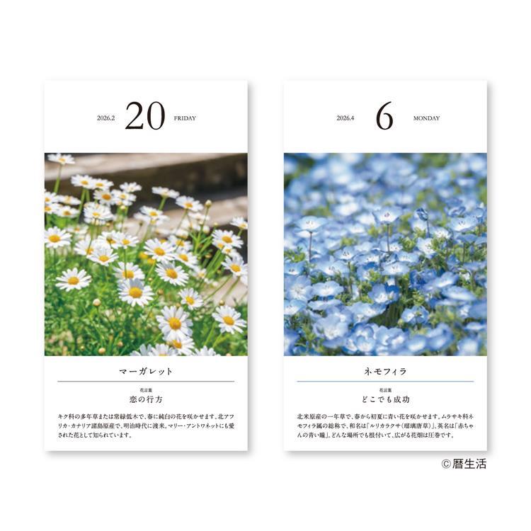 Flower Daily Calendar 2026 / Shin Nihon Calendar - bungu