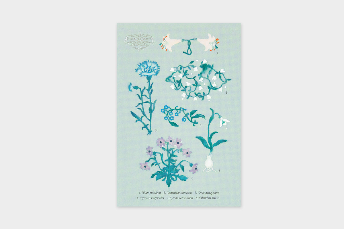 Art Touch Sato Nonoko Postcards / TOUCH & FLOW