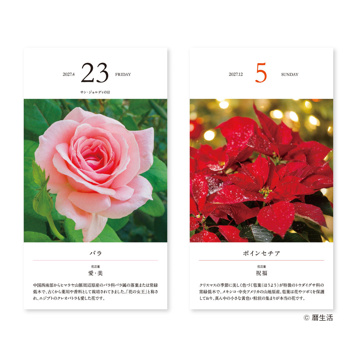 Flower Daily Calendar 2027 / Shin Nihon Calendar