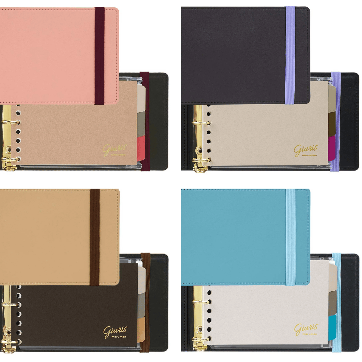 Giuris Mini Binder / Maruman - bungu