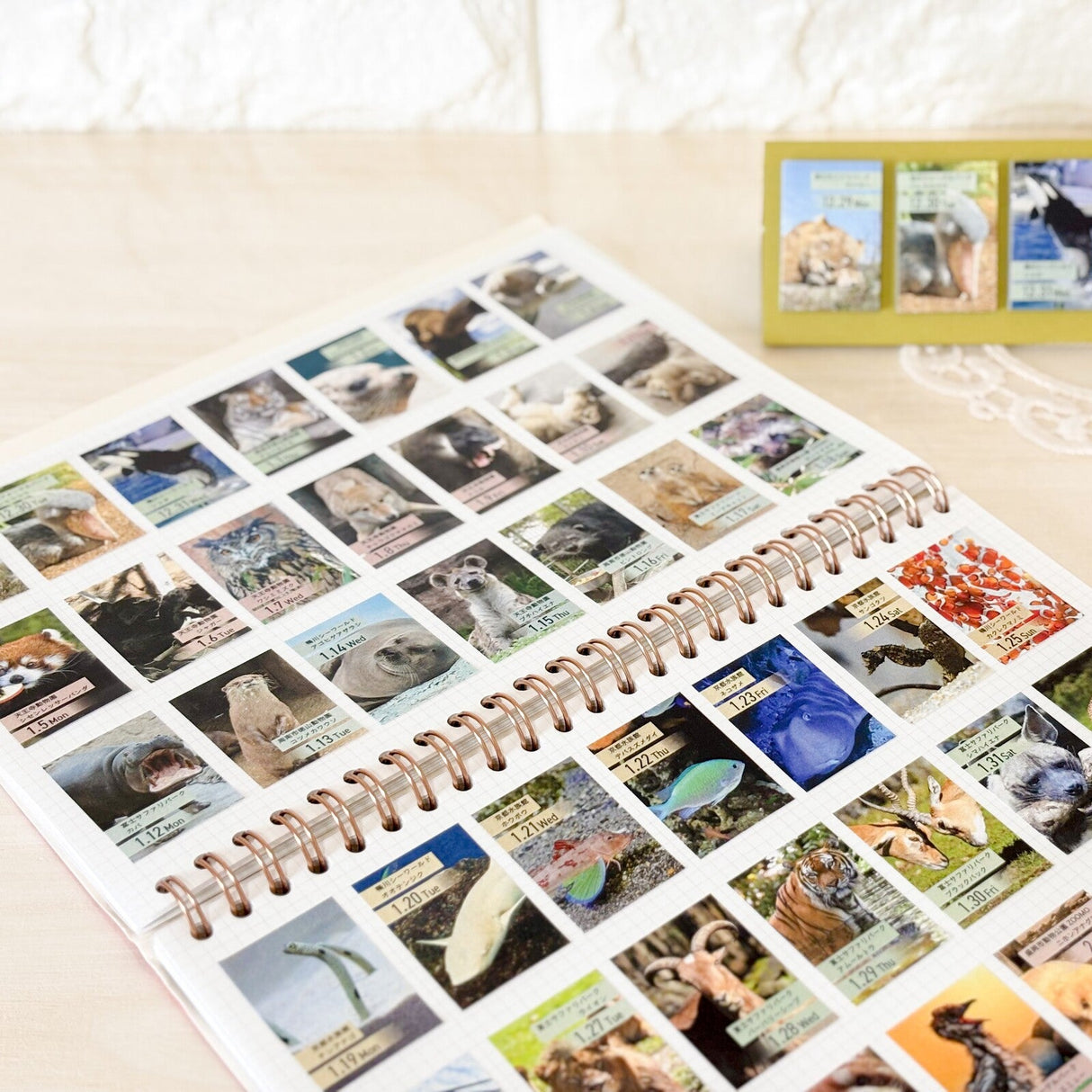 himekuri 2026 Daily Calendar / himekuri - bungu