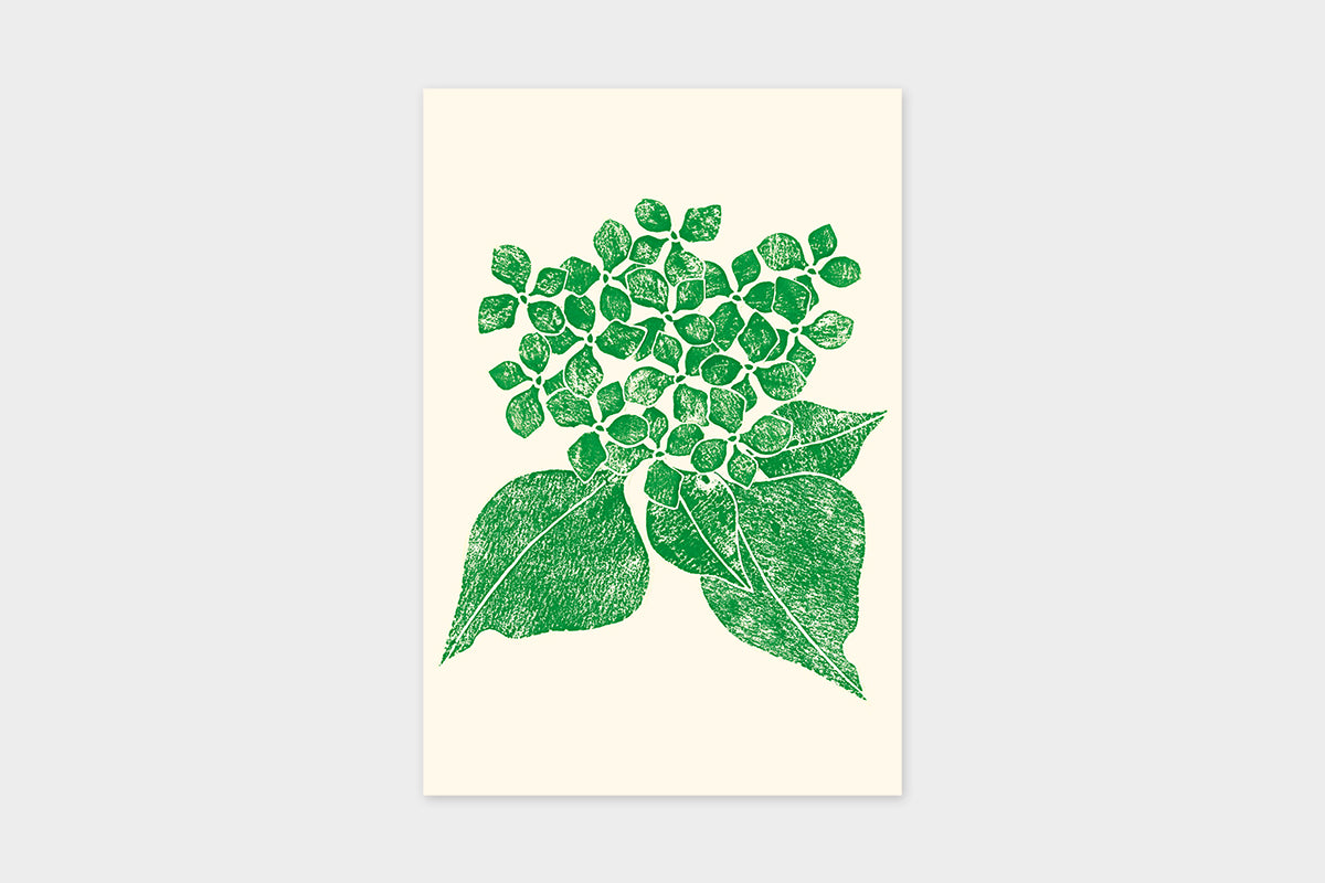 Art Touch Yuki Koida Postcards / TOUCH & FLOW
