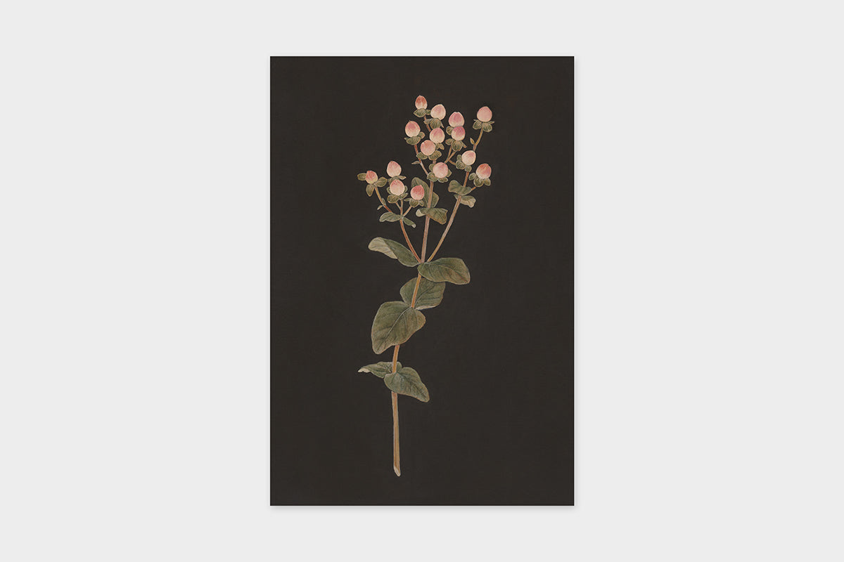 Art Touch Sasaki Megumi Floral Postcards / TOUCH & FLOW