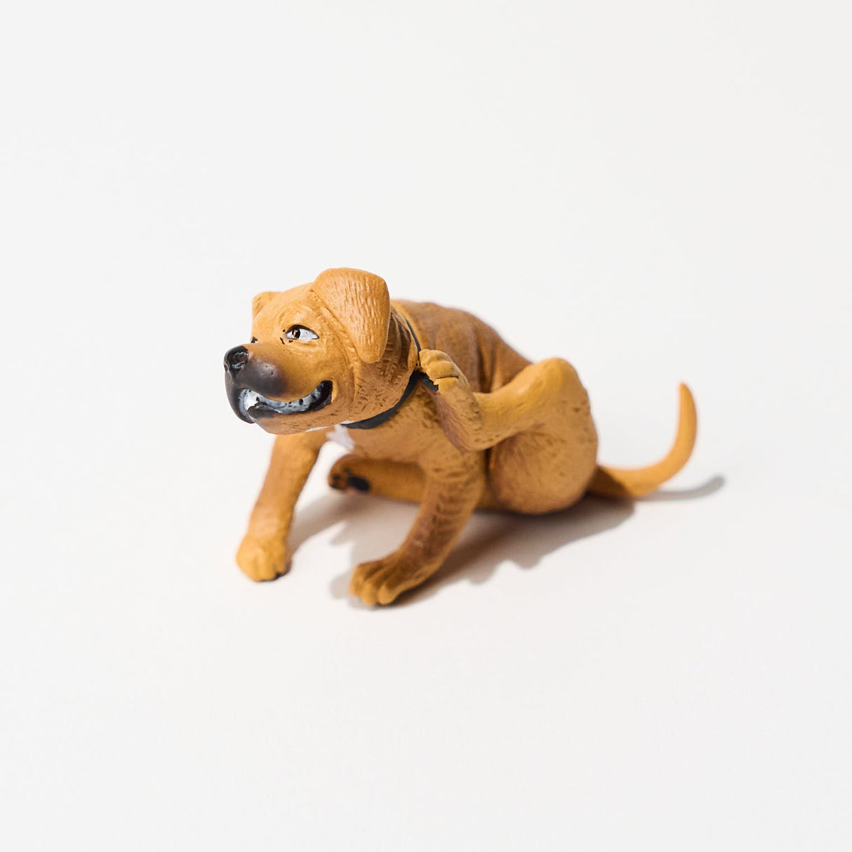 Itchy Dogs Gacha Capsule - bungu