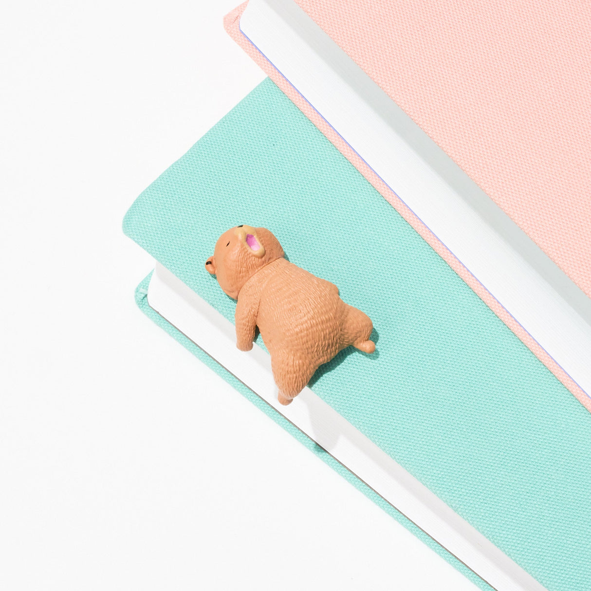 Little Bear Resting on the Edge Gacha Capsule - bungu