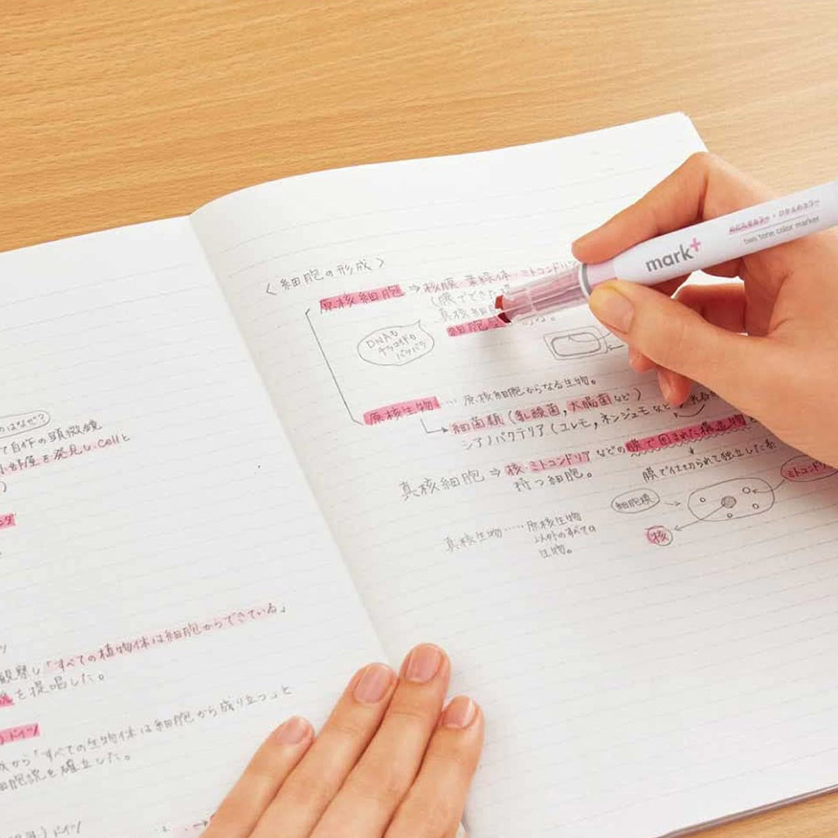 Marktus Dual Tone Color Marker Set / KOKUYO - bungu